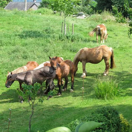 Prázdninový dům Maison Chez Caussade Peyrouse