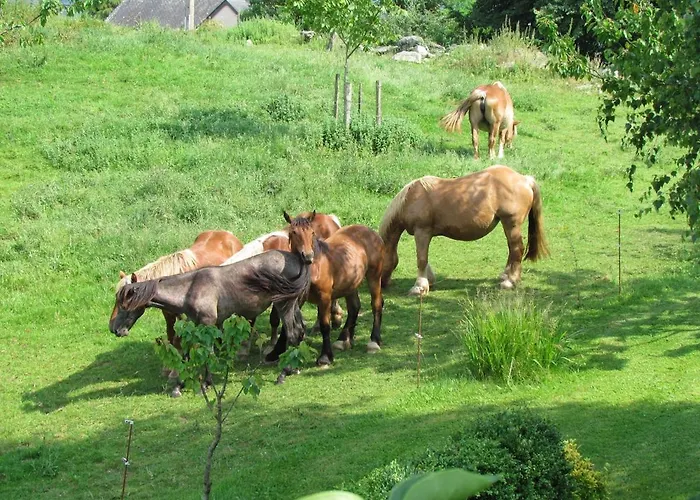 Сasa de vacaciones Maison Chez Caussade Peyrouse